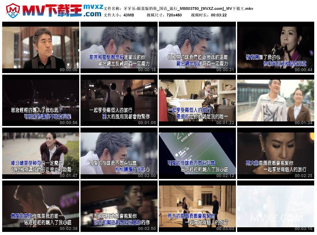 牙牙乐-限量版的你_国语_流行_MB503750